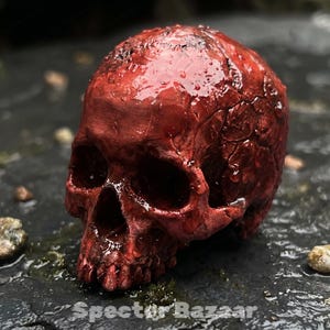 May include: A realistic human skull sculpture finished in a deep, glossy red with a wet, textured appearance. The surface features intricate cracks and anatomical details, with the text Specter Bazaar visible at the bottom of the frame.