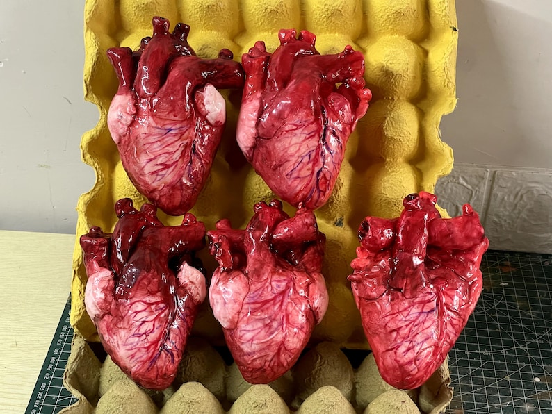 May include: Five realistic anatomical heart models with a glossy, deep red finish and visible blue vein details. These sculpted hearts are arranged inside a yellow molded pulp egg carton, showcasing intricate textures and lifelike biological forms.