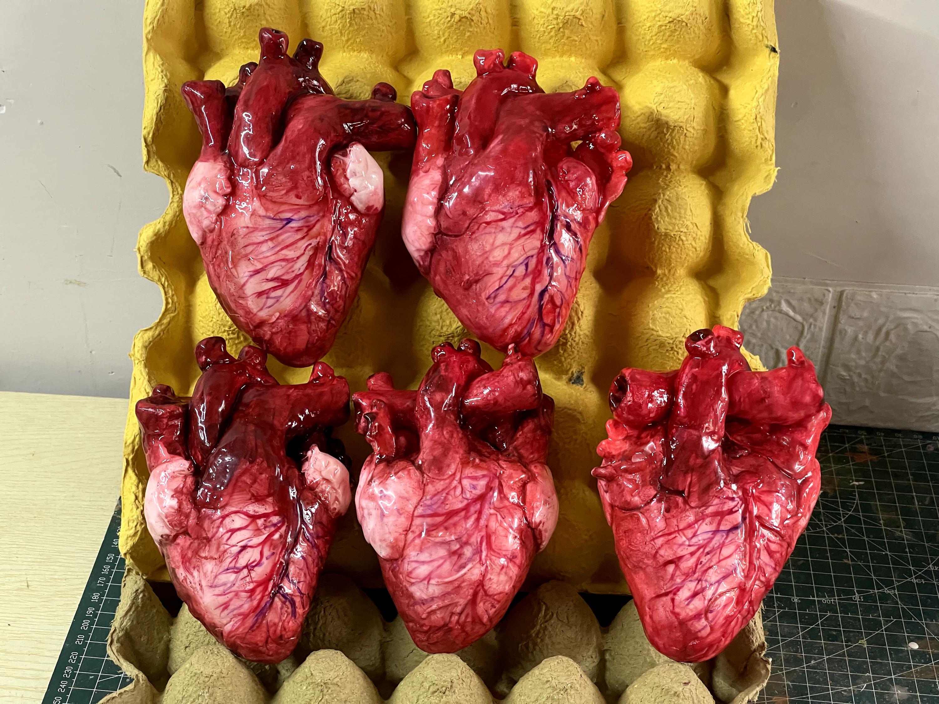 Life Size Human Heart,Handmade Heart,Realistic Heartc,Bloody Heart