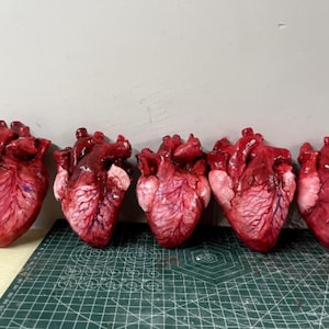 May include: Five anatomical heart sculptures arranged in a row. Each heart is rendered in shades of deep red and pink with visible vein details and a glossy finish. The sculptures are positioned on a green cutting mat with white grid markings.