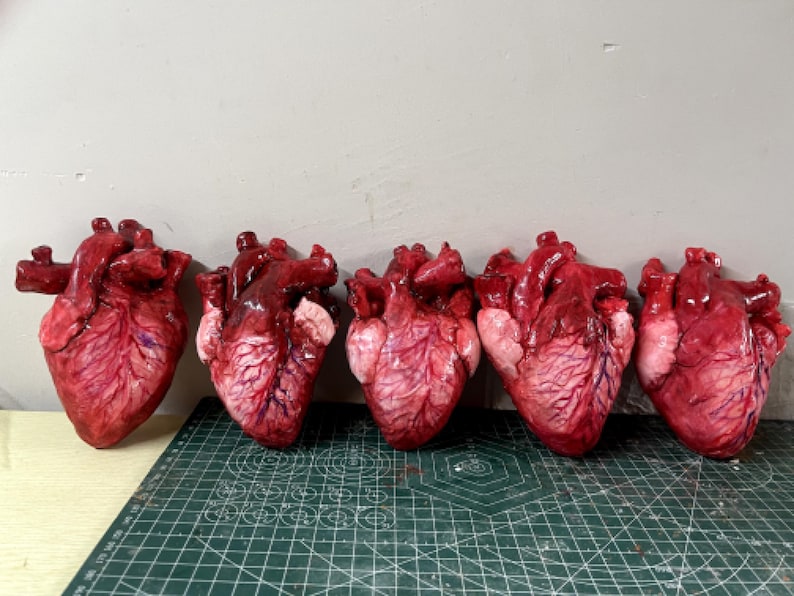 May include: Five anatomical heart sculptures arranged in a row. Each heart is rendered in shades of deep red and pink with visible vein details and a glossy finish. The sculptures are positioned on a green cutting mat with white grid markings.