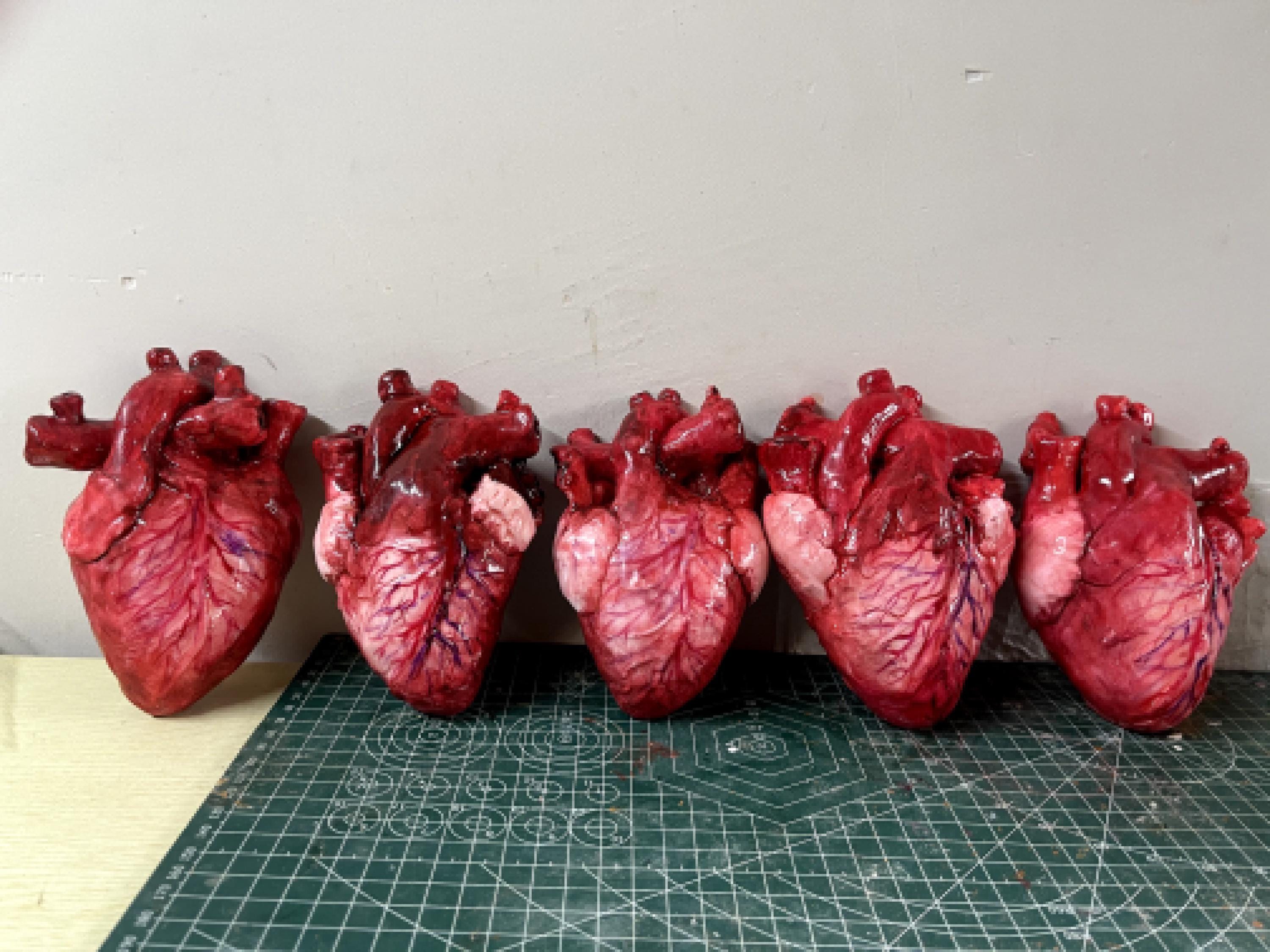 Life Size Human Heart,Handmade Heart,Realistic Heartc,Bloody Heart
