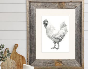 Charcoal Drawing of Chicken  - matted archival print