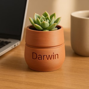 May include: A small, terracotta-colored planter with the name "Darwin" embossed on the front. The planter holds a vibrant green succulent. The pot has a cylindrical shape with horizontal ridges and sits on a wooden surface.