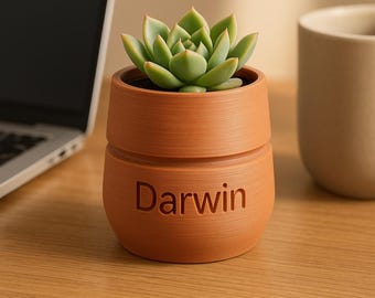 May include: A small, terracotta-colored planter with the name "Darwin" embossed on the front. The planter holds a vibrant green succulent. The pot has a cylindrical shape with horizontal ridges and sits on a wooden surface.