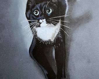 Fine Art Custom Pet Portrait Commissioned Pastel Painting