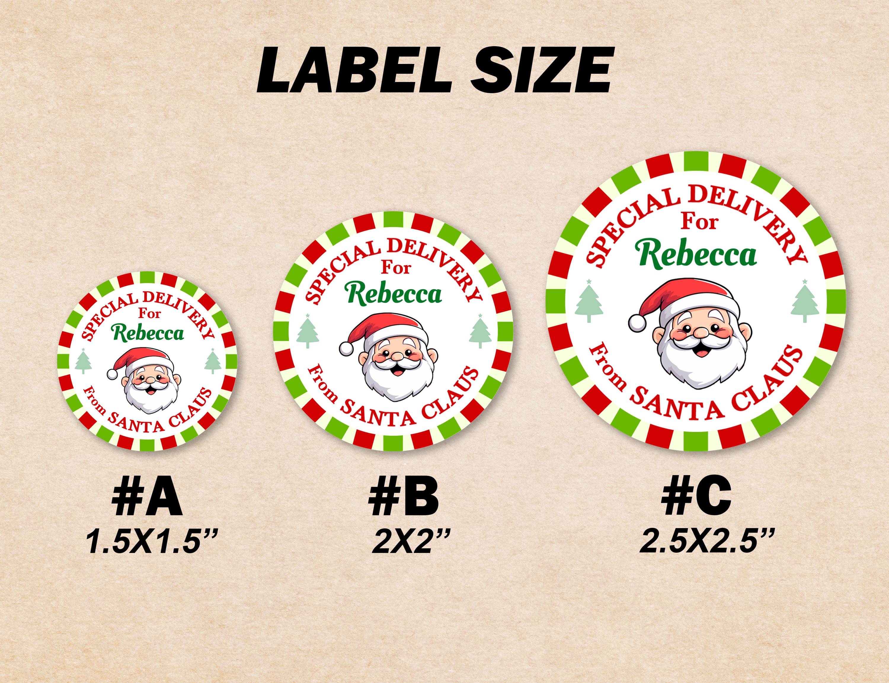 Personalised Special Delivery From Santa/Santa Claus Gift Tag Stickers/Custom Christmas Name Sticker/Christmas Present Stickers Gift Labels
