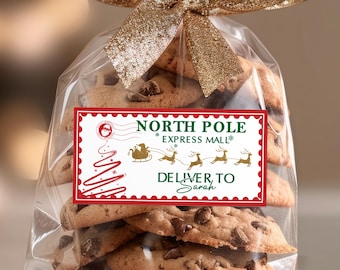 Personalized Christmas Gift Sticker From Santa/Special Delivery Sticker/North Pole Delivery Label/Custom Name Christmas Label/Santa Delivery