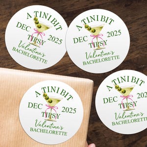 A Tini Bit Tipsy Bach Party Geschenk Aufkleber / Junggesellinnenabschied Geschenk Aufkleber / Brautjungfer Vorschlag Mini Likör Tag / benutzerdefinierte Namensschilder für Junggesellinnenabschied