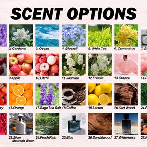 Custom Car Air Freshener Car Scent Custom Car Freshie Personalized Car Accessories Picture Car Air Fresheners Driving Test Pass Gift Holiday image 4