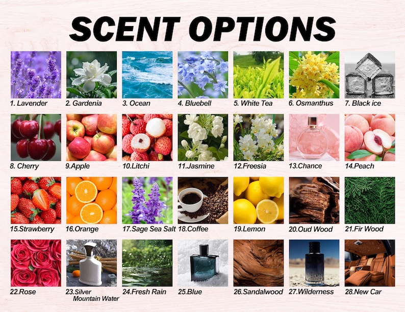 Custom Car Air Freshener Car Scent Custom Car Freshie Personalized Car Accessories Picture Car Air Fresheners Driving Test Pass Gift Holiday image 4