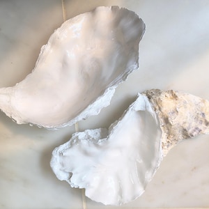 Puede incluir: Dos conchas de ostra con el interior pintado de un blanco liso y brillante. La concha más grande tiene un acabado blanco uniforme, mientras que la más pequeña muestra un exterior texturizado en tonos beige y gris naturales.