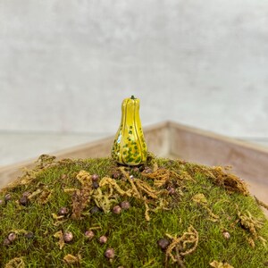 Puede incluir: Una pequeña calabaza amarilla con detalles verdes se encuentra sobre un lecho de musgo verde. La calabaza está pintada con un patrón floral.