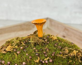 Handmade miniature 'chanterelle', as a plug, moss plug, plug, decorating flower pots, gift, seasonal decoration, Easter