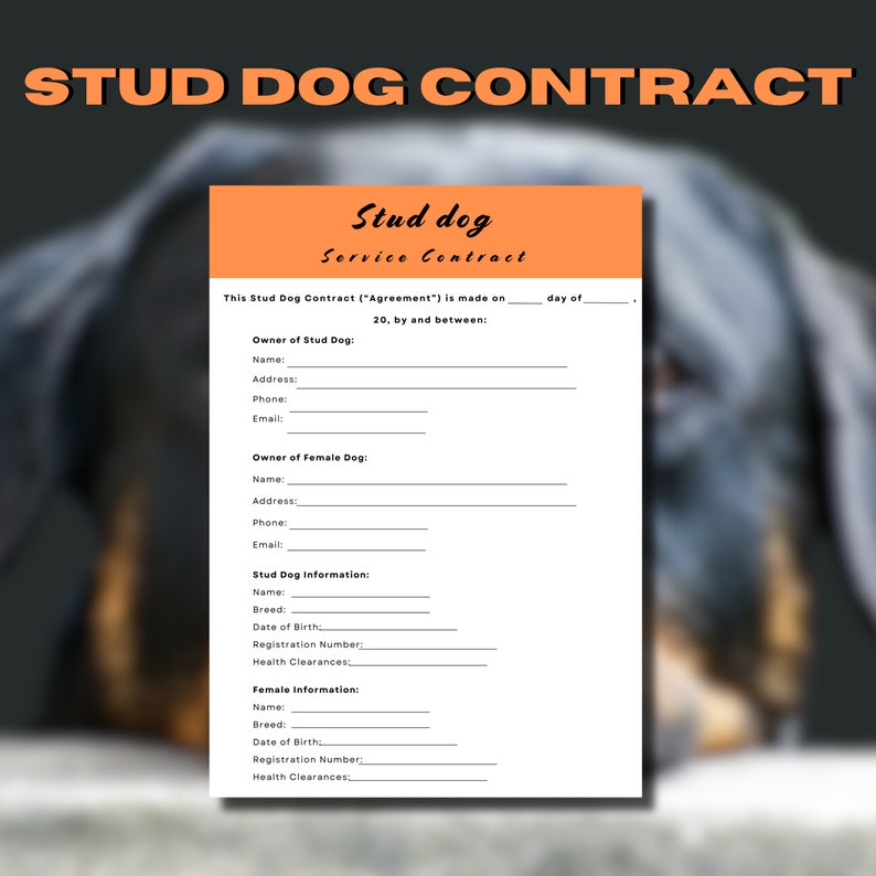 Stud Dog Contract Printable Stud - Il 794xN.6192186355 Fgbj 