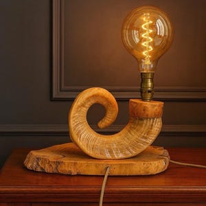 May include: A distinctive table lamp with a large, amber-tinted Edison bulb and a spiral filament. The lamp is supported by a wooden base and a curved, horn-shaped element, creating a rustic and artistic design.
