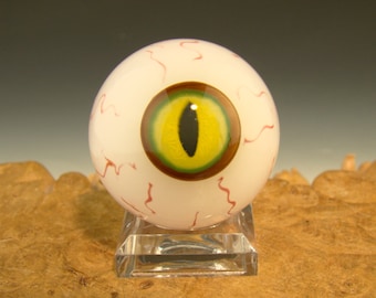 1.2 " Glass Art Eyeball Marble Lampwork style Eye freaky top cap orb curio home art by Kenny Talamas