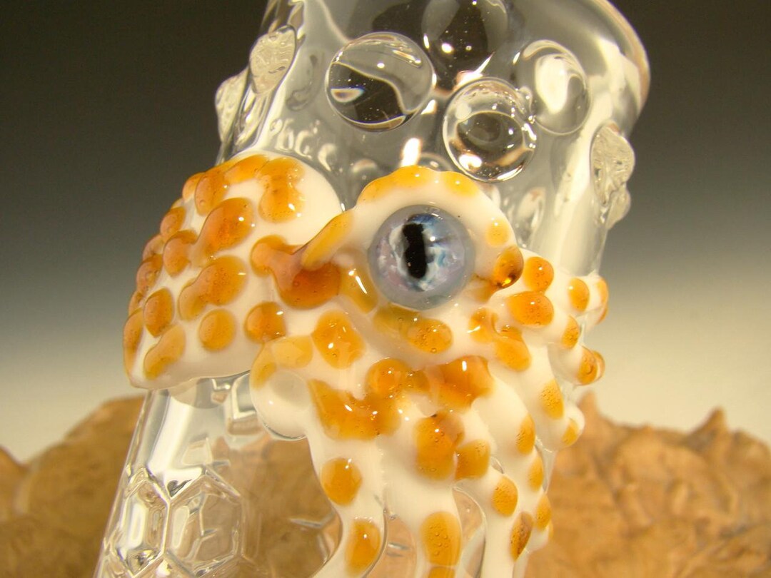 Glass Jar Hand Blown Octopus Kitchen Tool Stash Nug Container Etsy
