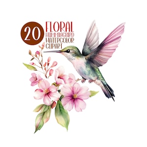 20 Hummingbirds Clip Art, Watercolor Images Bundle, Hummingbird, Illustrations, Sublimation, Commercial Use, Wall Art, Gifts, PNG DTF DTG