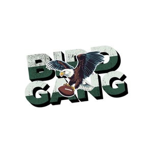 Puede incluir: Gráfico con un águila calva sosteniendo un balón de fútbol, con las palabras "BIRD GANG" en una fuente 3D desgastada. El águila es marrón, blanca y negra, con un pico amarillo. El balón de fútbol es marrón. El texto es verde y blanco.