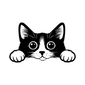 May include: Black and white cat peeking over a surface with its paws on the edge. The cat has large, round eyes and a friendly expression.