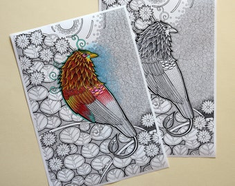Bird of Paradise Digital Coloring Page. Instant download. Printable. Totem animal