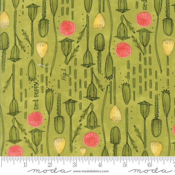 MODA Poppy Mae Pods Leaf 48602 15 Robin Pickens Floral Nature