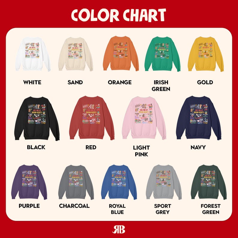 Big Fan Of Human Rights Sweatshirt, Equality Social Justice TShirt, Feminist Activist Tee, LGBTQ+ Support image 2