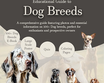 Dog Food Perfect Dog Breed Quiz Walking Quiz To Find Your Perfect