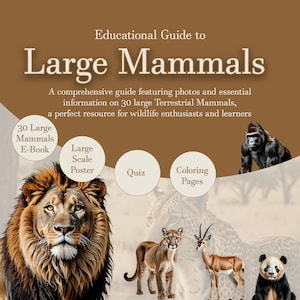 Educational Large Terrestrial Mammals Guide Bundle: 30 Mammals Book, Quiz & Coloring Booklet, and Large Poster - Perfect for Animal Lovers!