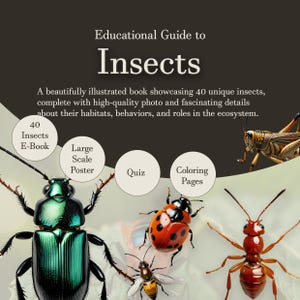 May include: Educational guide to insects book with 40 unique insects, large scale poster, quiz, and coloring pages. The cover features a green beetle, a ladybug, a bee, an ant, and a grasshopper.