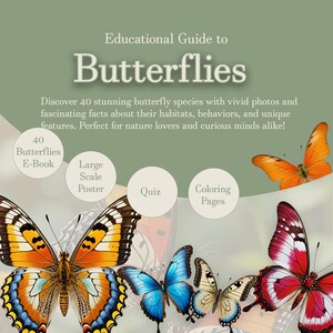 Educational Butterfly Guide Bundle: 40 Butterflies Book, Quiz & Coloring Booklet, and Large Poster - Perfect for Butterfly Lovers!