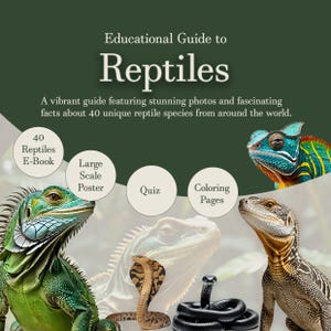 May include: Educational guide to reptiles featuring stunning photos and fascinating facts about 40 unique reptile species from around the world. The guide includes an e-book, a large-scale poster, a quiz, and colouring pages.
