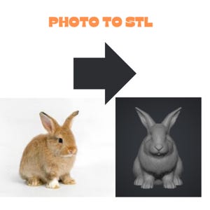 Könnte beinhalten: Das Bild zeigt ein lebendes braunes Kaninchen neben einem 3D-Modell eines Kaninchens. Der Text "PHOTO TO STL" steht oben. Ein schwarzer Pfeil zeigt den Konvertierungsprozess an.