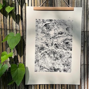 May include: Black and white abstract print with a textured, speckled pattern. The print is framed and hanging on a wall.