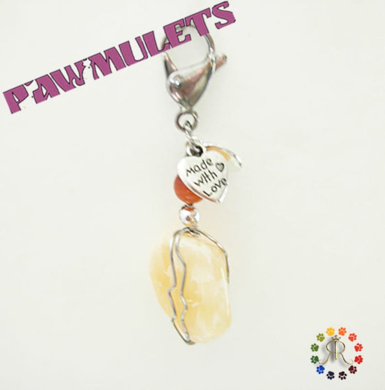 Chasing issues Honey Calcite Pawmulet Pet charm Intestinal and Stomach issues