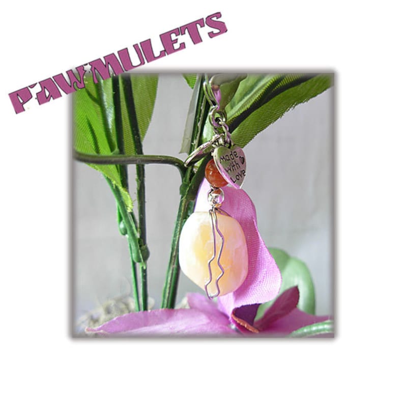 Chasing issues Honey Calcite Pawmulet Pet charm Intestinal and Stomach issues