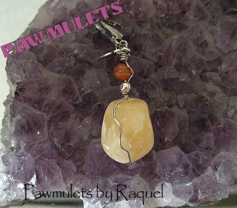 Chasing issues Honey Calcite Pawmulet Pet charm Intestinal and Stomach issues