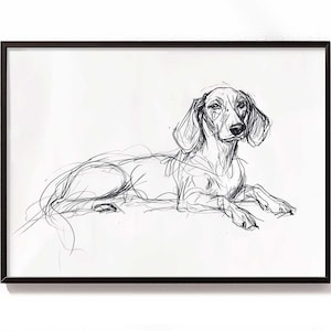 May include: A black and white line drawing of a dachshund dog lying down. The dog is looking to the right of the image.