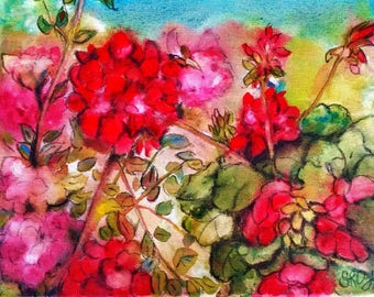 Between Roses and Geraniums, 5 x 7 print