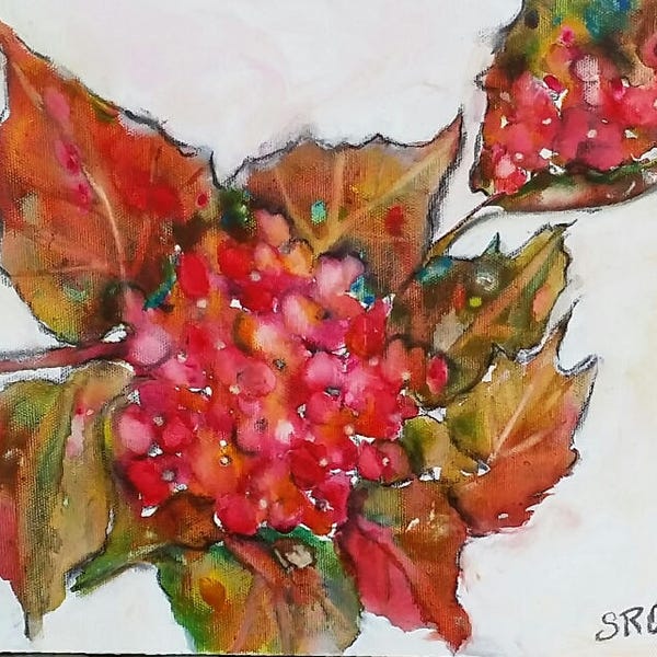 Pink Hydrangea, 11 x 14, Original Painting