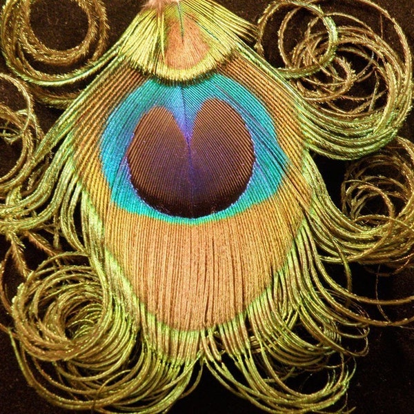 Cassidy Curled Peacock Earrings