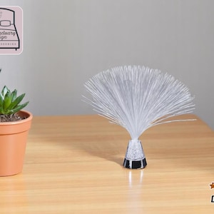 Può includere: Una lampada a fibra ottica bianca con una base nera è posizionata su un tavolo di legno. La lampada è accesa e le fibre brillano. Sullo sfondo ci sono due piante grasse in vaso.