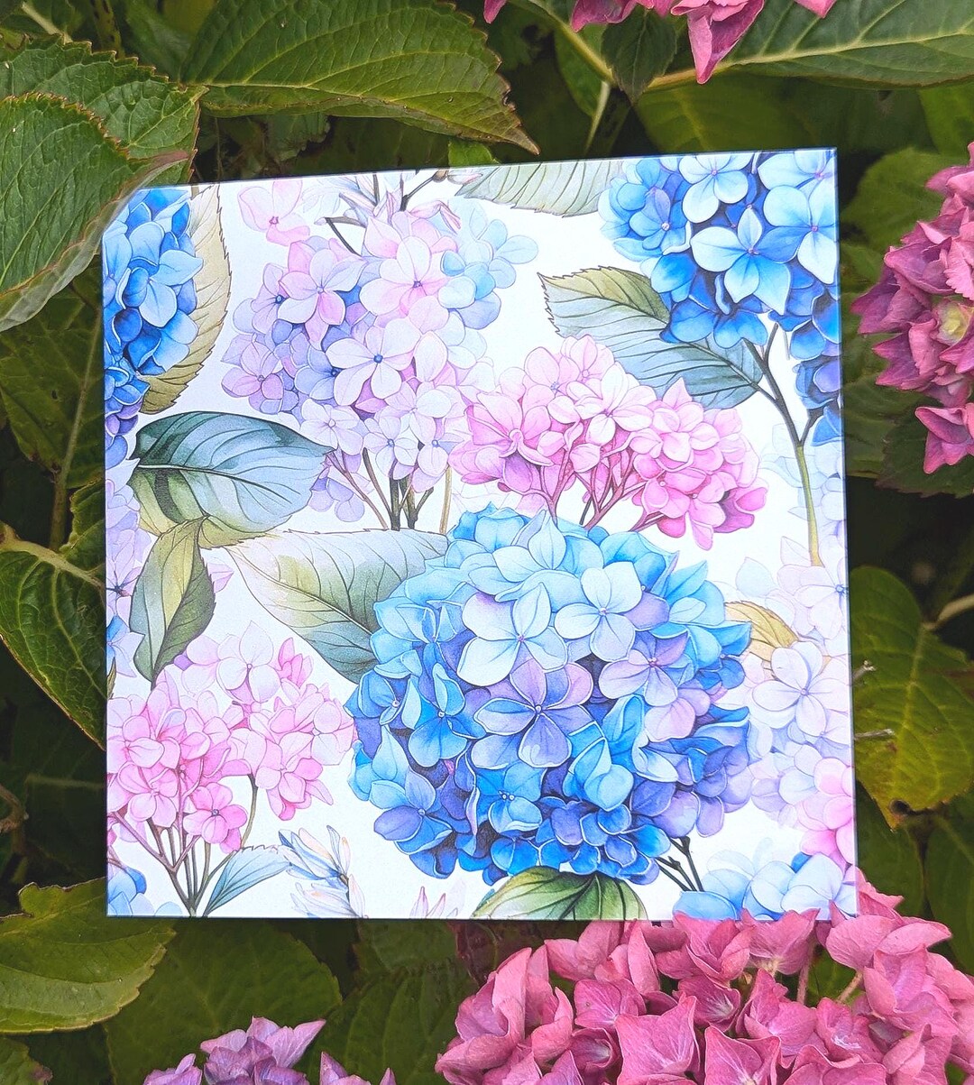 Hydrangea Card for Her Mum Blue Floral Friendship Card Nature Pink ...