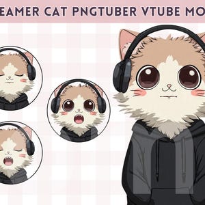 May include: Digital illustration of a cartoon cat wearing a black hoodie and headphones. The cat has large eyes and a neutral expression. The image includes three smaller circular portraits of the cat with different expressions.