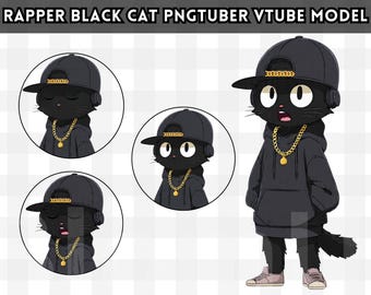 Modello PNGTuber predefinito maschio/Rapper Gatto nero PNG Tuber maschio/Modello VeadoTube/Modello PNG Tuber anime Modello Vtuber,Avatar Twitch,GIFTuber