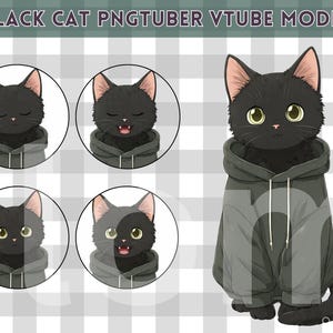 May include: A digital illustration of a black cat wearing a dark gray hoodie, labeled BLACK CAT PNGTUBER VTUBE MODEL. The image includes four circular icons showing the cat with different facial expressions, including closed eyes and open mouths.