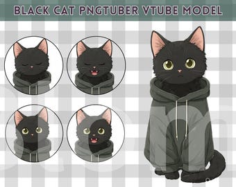 Modello PNGTuber predefinito maschio/ Gatto nero PNG Tuber maschio/ Modello VeadoTube/ Modello PNG Tuber anime/ Modello Vtuber, Avatar Twitch, GIFTuber