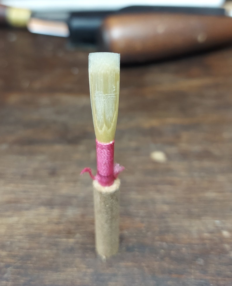 Student Oboe Reed - Etsy