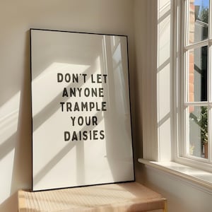 May include: A framed art print with the text "DON'T LET ANYONE TRAMPLE YOUR DAISIES" in bold black letters on a white background. The black frame is rectangular. The print is leaning against a window.